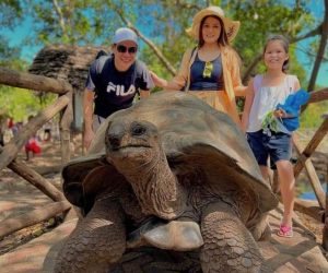 giant tortoise prison island
