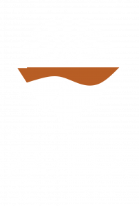 Zatesa Logo