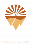 Zatesa Logo